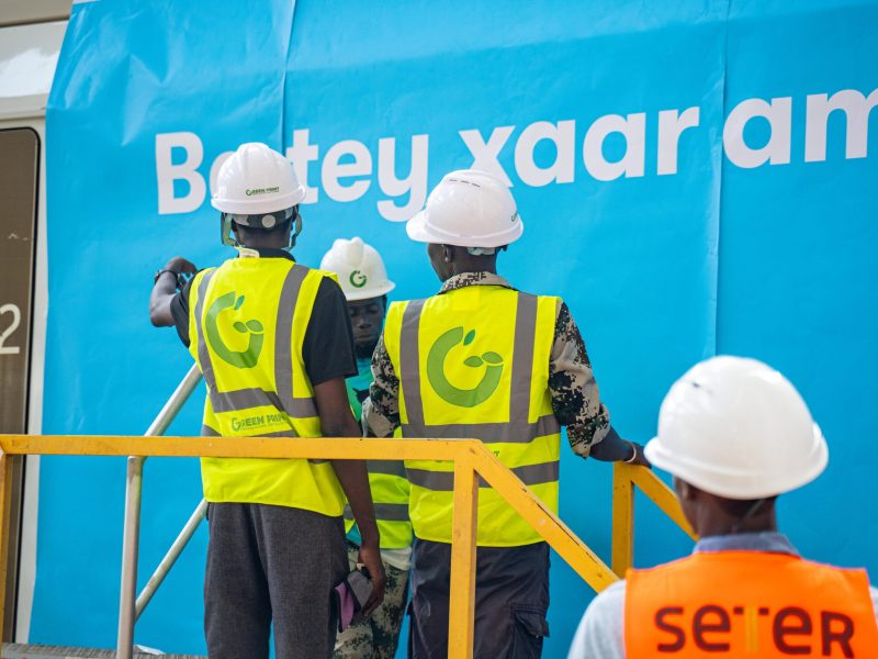 ter-wave-branding-15