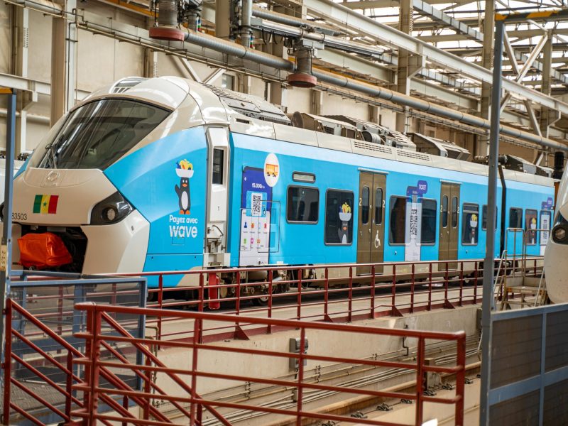 ter-wave-branding-17