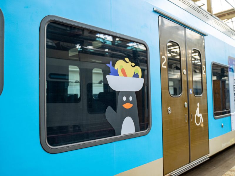 ter-wave-branding-20