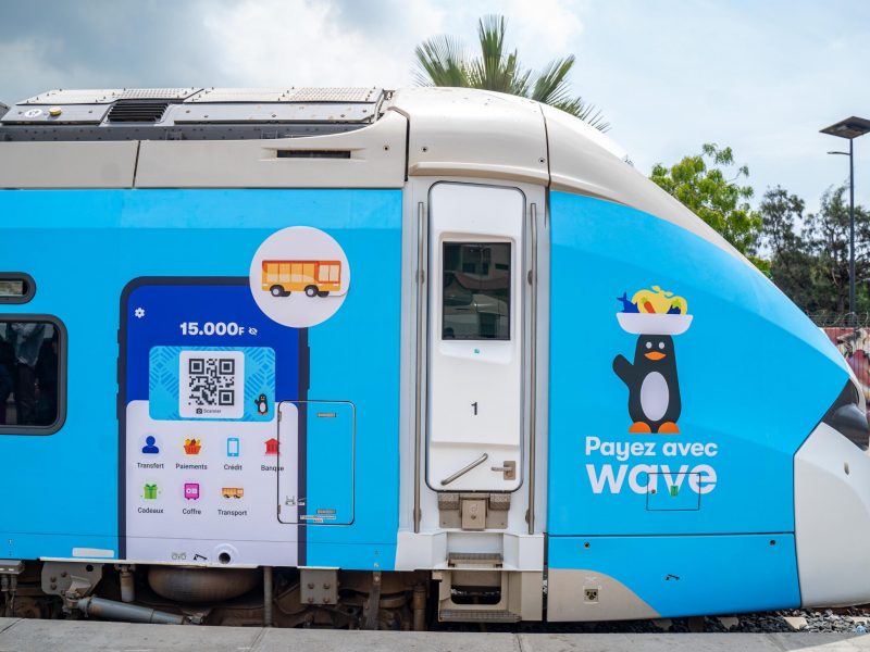 ter-wave-branding-22